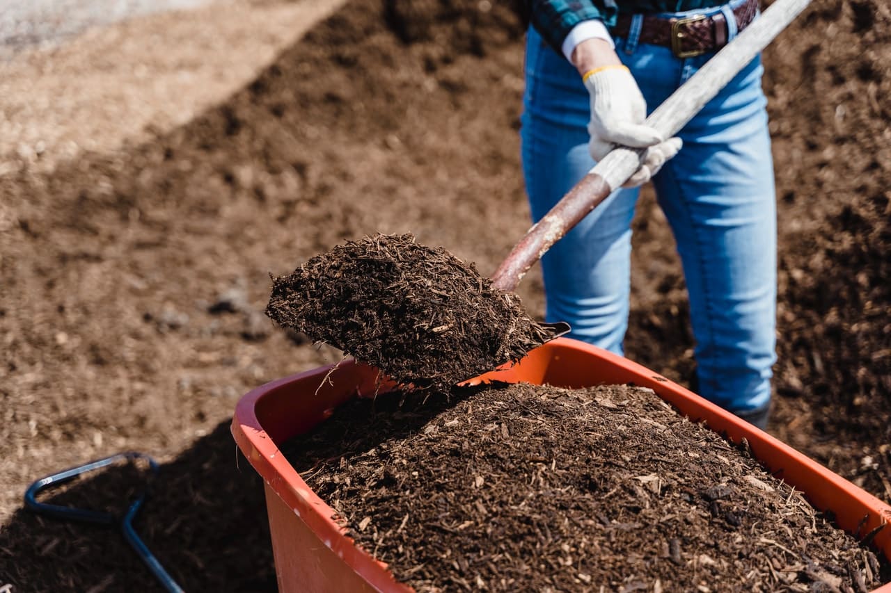 Brass compost : qu’est-ce que c’est et quelle est son utilité ?