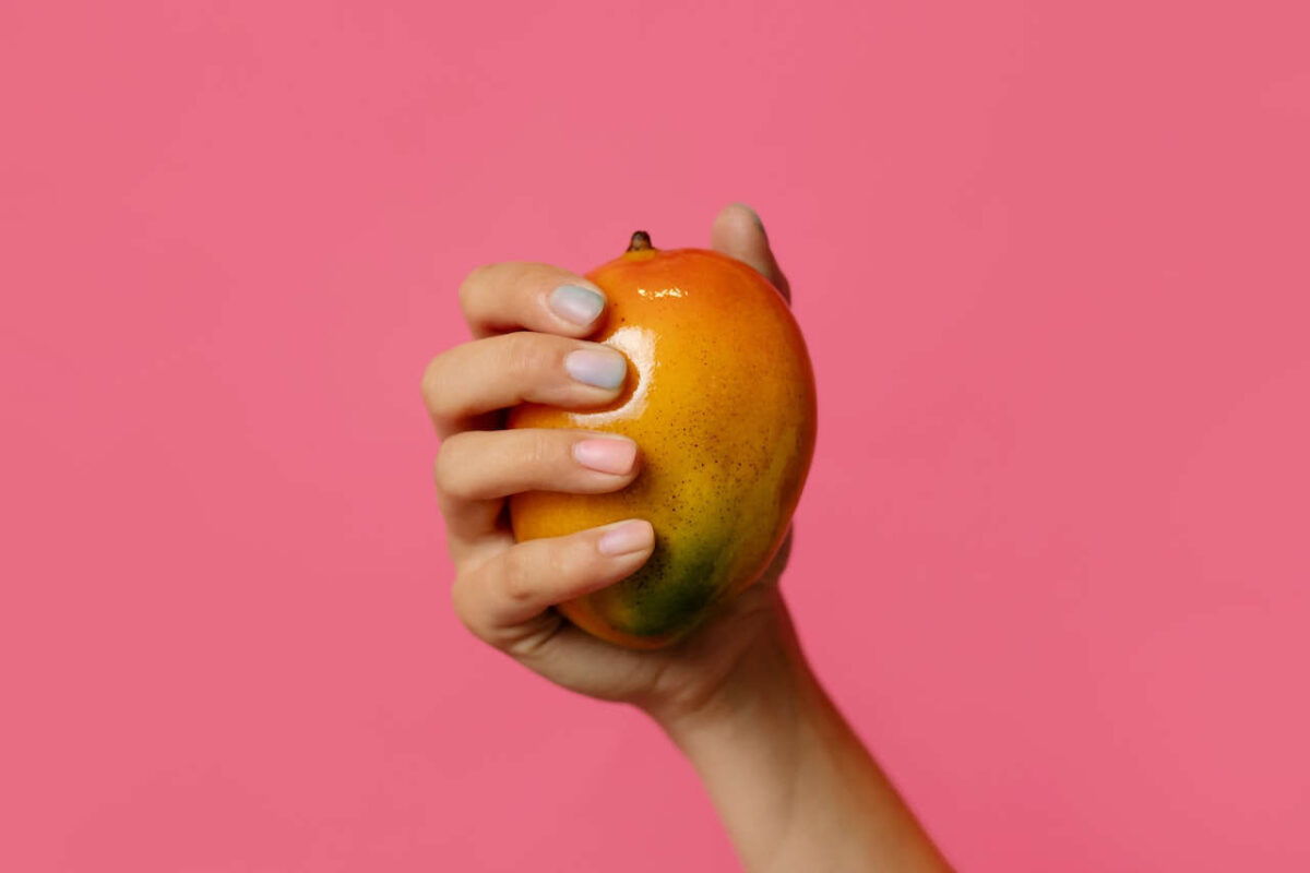Faire germer un noyau de mangue les étapes — free download
