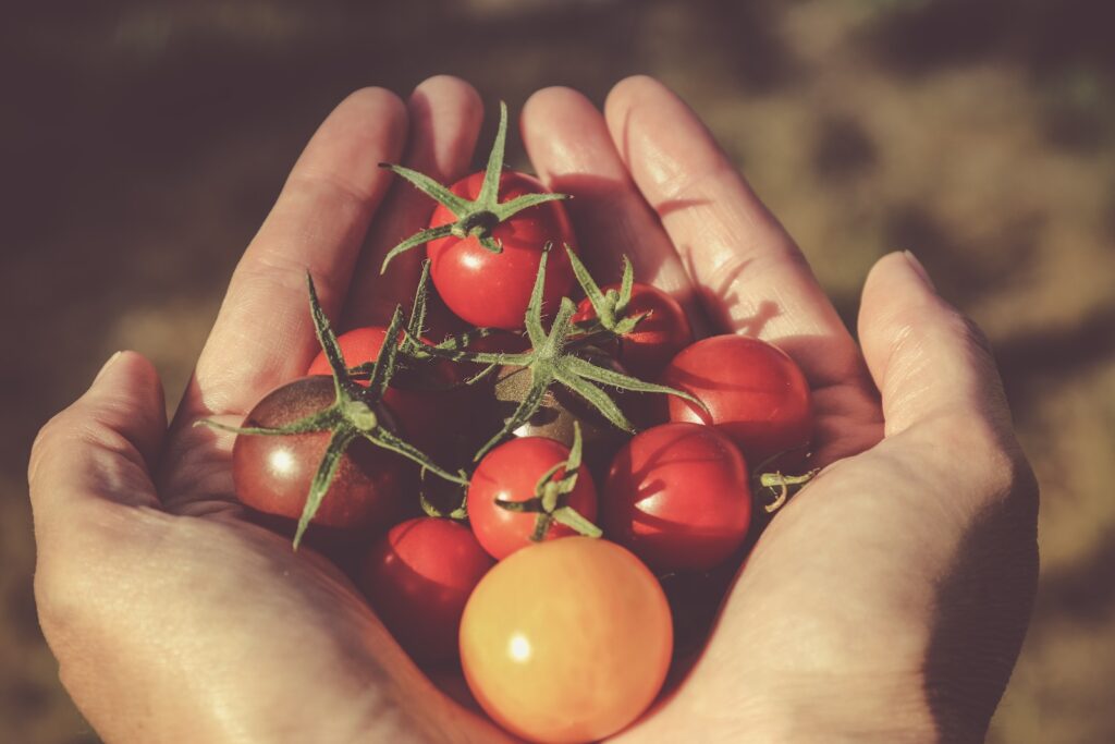 Jolies tomates /  by Jametlene Reskp